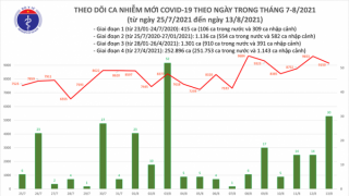 Tình hình dịch COVID-19 ngày 13/8: Ghi nhận 9.150 ca mắc, riêng TP HCM và  Bình Dương chiếm đến 6.347 ca