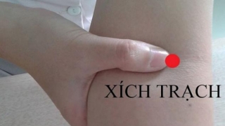 Xoa bóp bấm huyệt hỗ trợ giảm đau, hạ sốt trong điều trị COVID-19