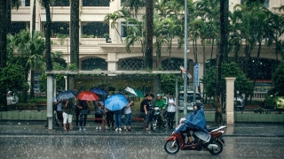 Thời tiết ngày 19/8, Bắc Bộ, Thanh Hóa và Nghệ An có mưa rào và dông