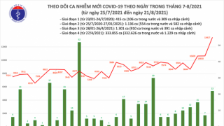 Tối 21/8: Ghi nhận 11.321 ca mắc mới COVID-19, có 7.272 bệnh nhân khỏi bệnh