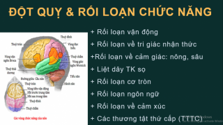 Phục hồi chức năng sau đột quỵ - Hành trình tái hòa nhập cộng đồng