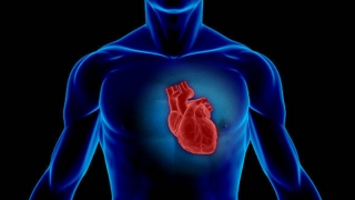 Nguy cơ bị viêm cơ tim khi mắc COVID-19 cao hơn tiêm vaccine