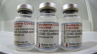 Moderna tuyên bố nguyên nhân 3 lô vaccine ở Nhật bị đình chỉ