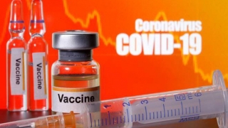 Trường Đại học Y Hà Nội tuyển tình nguyện tham gia nghiên cứu vaccine ARCT-154