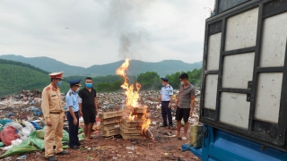 Quảng Ninh phát hiện số lượng lớn gia cầm không rõ nguồn gốc, xuất xứ đang trên đường đi tiêu thụ