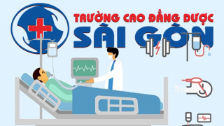 Các học thuyết điều dưỡng đang được sử dụng trên thế giới