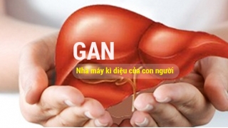 9 loại thực phẩm tốt cho gan không phải ai cũng biết