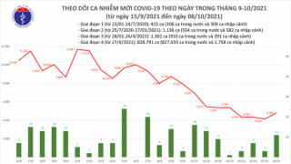 Tối 8/10: Ghi nhận 4.806 ca nhiễm mới, 994 bệnh nhân khỏi bệnh