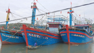 Nghệ An cấm các loại tàu thuyền và phương tiện vận tải ra khơi từ 0h ngày 10/10