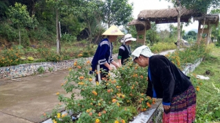 Hội phụ nữ tỉnh Lai Châu chung tay bảo vệ môi trường xanh sạch đẹp