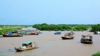 Ninh Bình chủ động ứng phó với tình hình mưa bão phức tạp