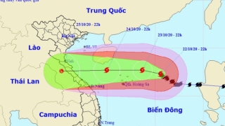 Đảm bảo an toàn cho giáo viên, học sinh trước cơn bão số 8