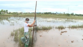 Thừa Thiên Huế phát hiện 2 đối tượng đang săn bắt chim trời trái phép