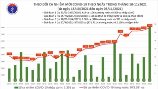 Tối 8/11: Ghi nhận 7.988 ca nhiễm mới, 1.073 bệnh nhân khỏi bệnh