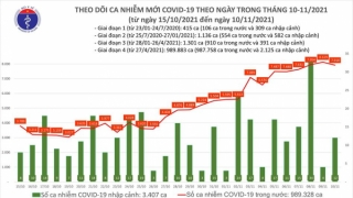 Tối 10/11: Ghi nhận 7.930 ca nhiễm mới, 1.254 bệnh nhân khỏi bệnh