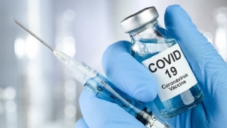 Canada: Phê duyệt liều tăng cường vaccine phòng COVID-19 của Pfizer-BioNTech