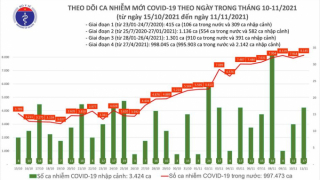Tối 11/11: Ghi nhận 8.162 ca nhiễm mới, 1.894 bệnh nhân khỏi bệnh