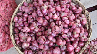 Lợi ích từ củ hành tím đối với sức khỏe