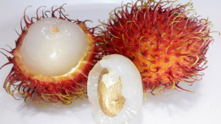 Những lợi ích từ hạt chôm chôm đối với sức khoẻ