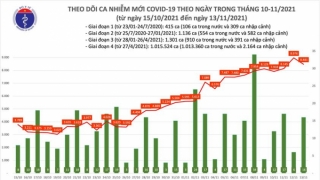 Tối 13/11: Ghi nhận 8.497 ca nhiễm mới, 1.843 bệnh nhân khỏi bệnh