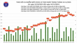 Tối 14/11: Ghi nhận 8.176 ca nhiễm mới, 5.257 bệnh nhân khỏi bệnh