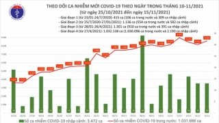 Tối 15/11: Ghi nhận 8.616 ca nhiễm mới, 1.205 bệnh nhân khỏi bệnh