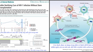 Người thứ 2 trên thế giới tự chữa khỏi bệnh AIDS