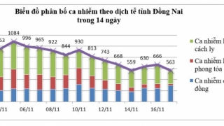 Đồng nai: Sáng 18/11, ghi nhận 563 ca mắc COVID-19 mới