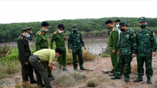 Ninh Bình xử lý tình trạng săn, bẫy, bắt, buôn bán, vận chuyển trái phép chim trời, động vật hoang dã