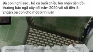 Lãnh đạo xã lên tiếng về trường hợp một hộ dân ở Quảng Nam nhận 2.000 đồng hỗ trợ thiệt hại do bão