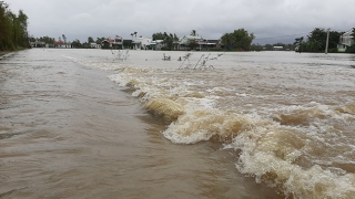 Ninh Thuận mưa lớn gây ngập cục bộ ở nhiều nơi