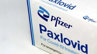 Pfizer: Sẽ bàn giao thuốc điều trị COVID-19 để phân phối khắp châu Âu, Mỹ