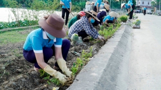 Thanh Hóa: Thêm 5 xã đạt chuẩn nông thôn mới nâng cao, hoàn thành tiêu chí môi trường