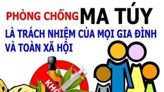 Quy định chi tiết và hướng dẫn thi hành một số điều của Luật Phòng, chống ma túy