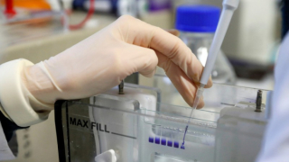 New Zealand: Một người đàn ông tiêm 10 liều vaccine COVID-19 trong một ngày