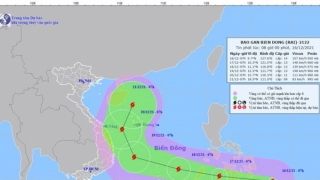 Cập nhật tình hình cơn bão số 9