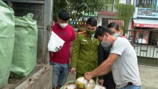 Thừa Thiên Huế phát hiện 1 ô tô chở hơn 1 tấn nội tạng động vật không rõ nguồn gốc xuất xứ