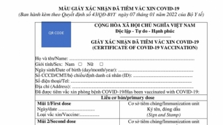 Bộ Y tế ban hành giấy chứng nhận tiêm gồm 7 mũi vaccine COVID-19