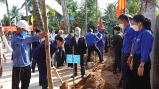 Bình Định: Hưởng ứng phong trào Tết trồng cây