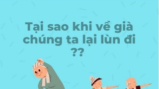 Tại sao khi về già chúng ta lùn đi?