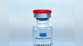 Ấn Độ: Phê chuẩn vaccine Corbevax cho trẻ em từ 12 - 18 tuổi