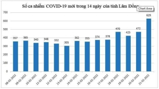 Lâm Đồng áp dụng cách ly y tế F1 khi có hơn 600 ca mắc COVID-19 mỗi ngày