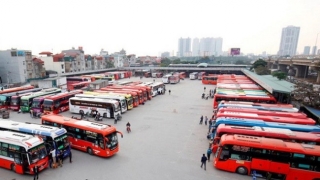 Hải Phòng tổ chức hoạt động vận tải hành khách thích ứng an toàn, linh hoạt và kiểm soát hiệu quả dịch COVID-19