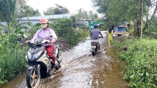 Cà Mau chủ động phối hợp ứng phó kỳ triều cường đột xuất