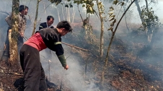 Yên Bái chủ động ngăn chặn và kiểm soát lửa rừng