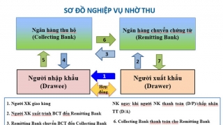 Phương thức thanh toán nhờ thu kèm chứng từ trong tài trợ thương mại