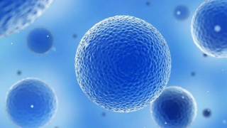 Australia: Phát hiện loại vi khuẩn mới có khả năng hấp thụ carbon tự nhiên