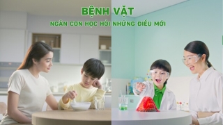 Bí quyết giúp con giảm bệnh vặt để không gián đoạn việc học