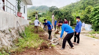 Cần Thơ: Tuổi trẻ nâng cao ý thức bảo vệ môi trường, sử dụng điện tiết kiệm