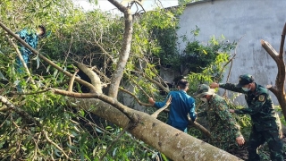 Kiên Giang: Lốc xoáy gây thiệt hại hàng chục căn nhà